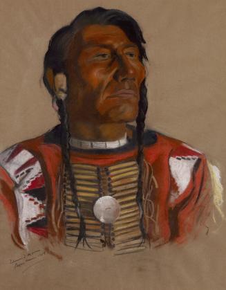 Chief Bull Plume, Stumiksisapo