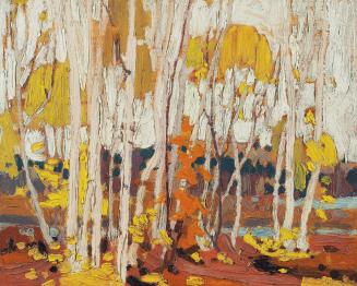 Autumn Birches