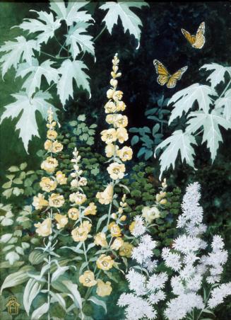 Gerardia (Downy False Foxglove)
