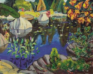 Lily Pond, Georgian Bay