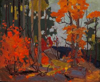 Autumn, Algonquin Park