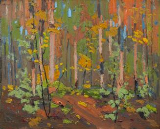 Woodland Interior - Fall