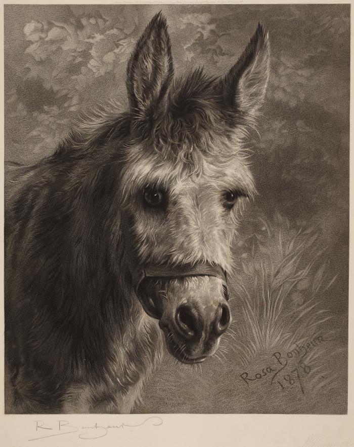 Rosa Bonheur