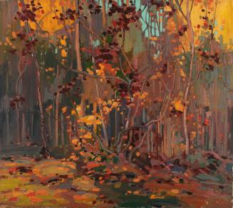 Maple Saplings, October