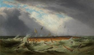 Wrecked Raft