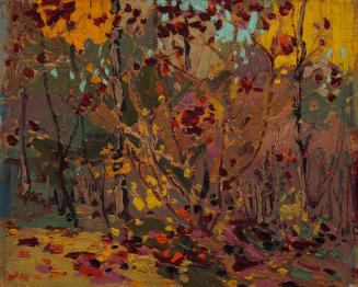 Maple Saplings, October
