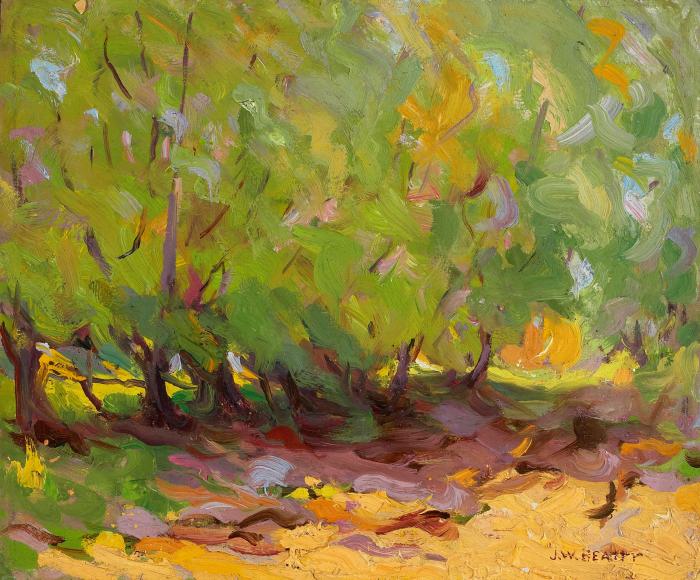 Sunlit Trees