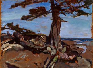 Georgian Bay Sketch No. 4