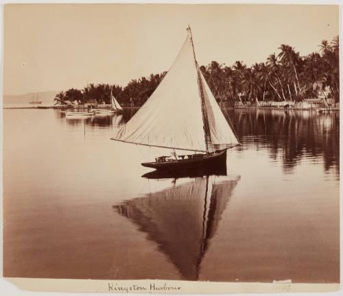 A Bit in Kingston Harbor