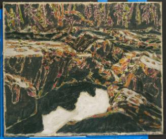 The Pool Temagami or Riches, The Flooded Shaft