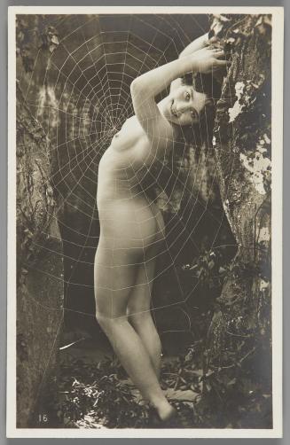 [Woman with spider web]