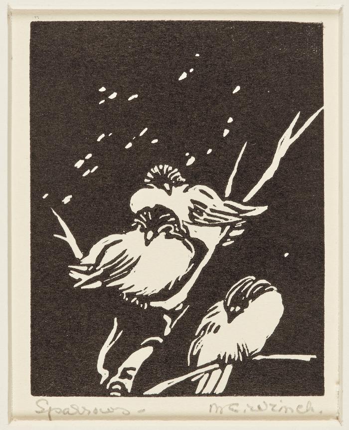 Sparrows