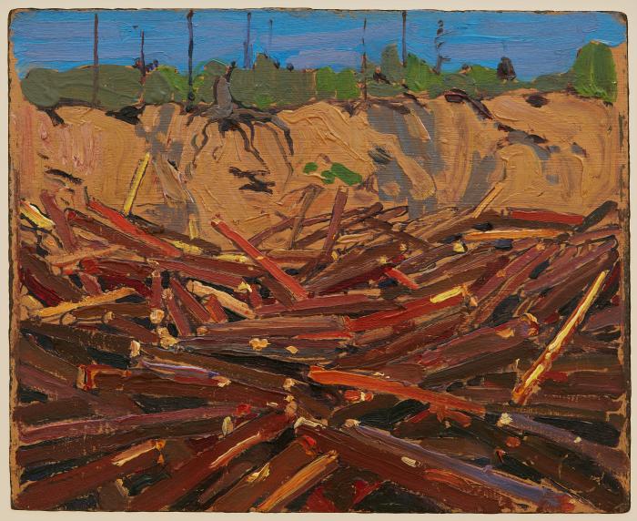 Sandbank with Logs