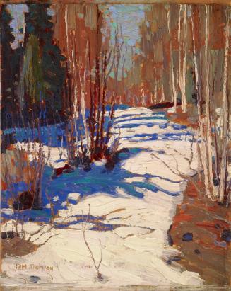 Path Behind Mowat Lodge