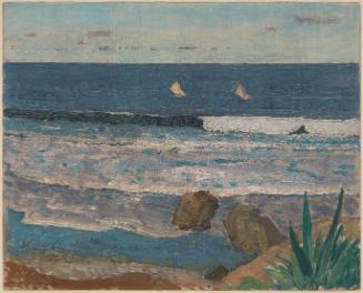 Southend of Beach with Aloe Fern, Cattlewash, Bathsheba, Barbados