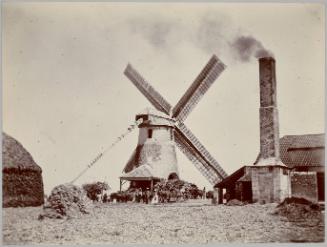 Windmill at Spring Hall, St Lucy, Barbados