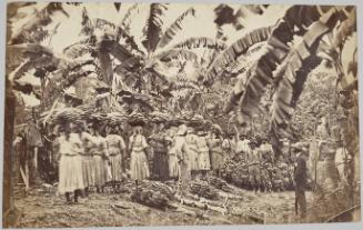 Banana Workers, Morant, Jamaica