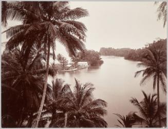 Blue Hole, Portland, Jamaica