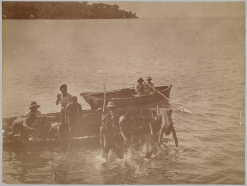 Diving for Coins, St Lucia