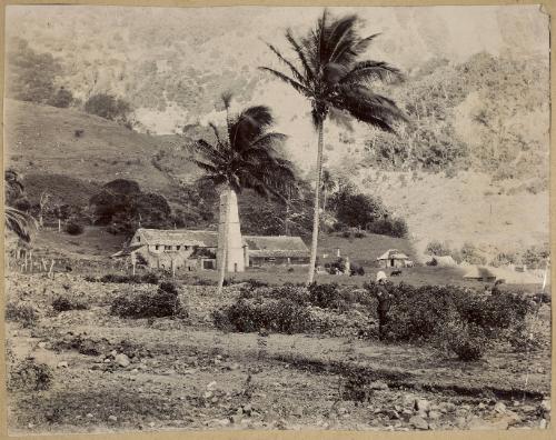 Rum Factory, St. Lucia