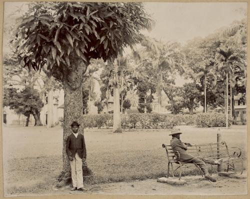 Gardens, Castries, St. Lucia