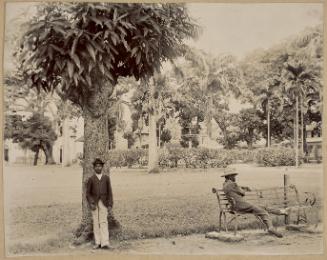 Gardens, Castries, St. Lucia