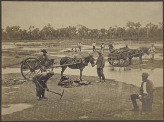 Asphalt Lake, Trinidad