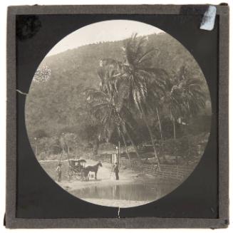 Crossing a River, Jamaica