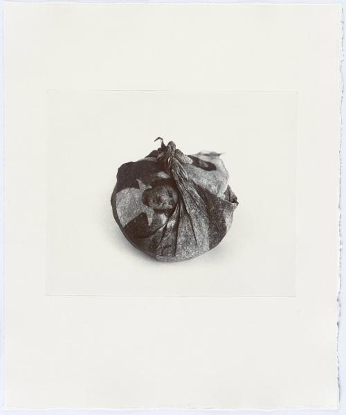 Generational Echoes II