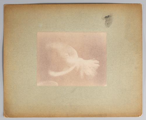 Chronophotographic study of the flight of a pigeon, taken with a camera with two alternating masked lenses (detail enlargement from study)