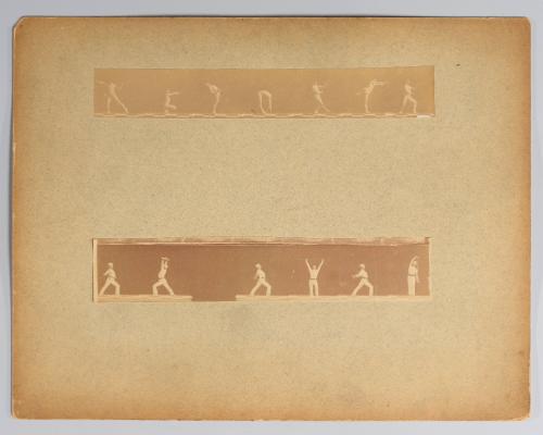 Two studies of Demeny in stretching movements