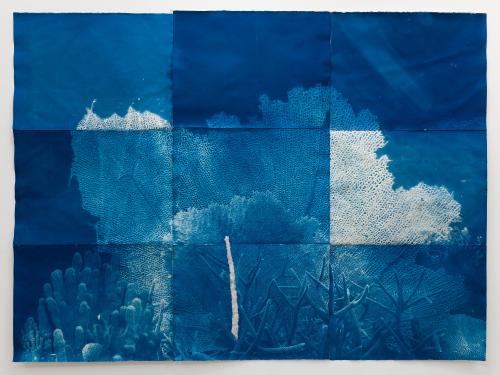 A Litany for Survival