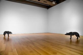 The Distinctive Line Between One Subject and Another