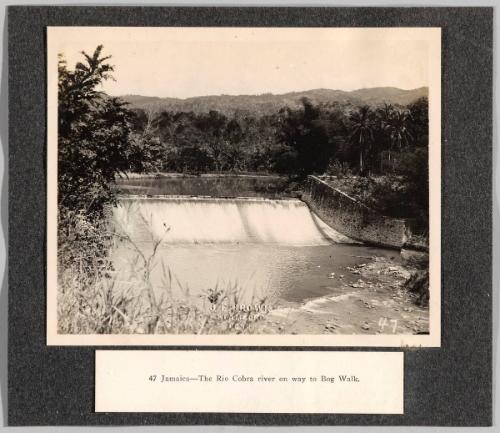 [The Rio Cobra River on Way to Bog Walk]