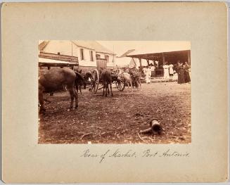 [Rear of Market, Port Antonio]
