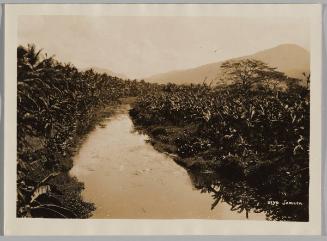 Irrigation Canal, Jamaica