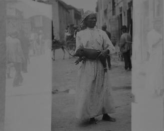 Piglet, Bridgetown, Barbados, 1906