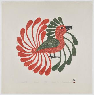 Aoujalik (Moulting Bird)