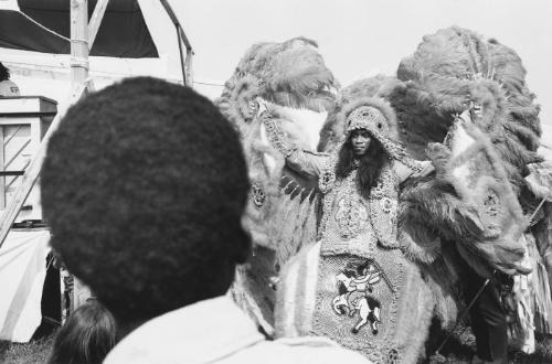 Donald Harrison, Sr.,
Mardi Gras Indians