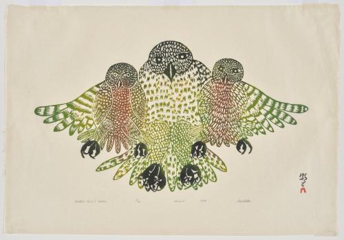 Mother Owl and Babies