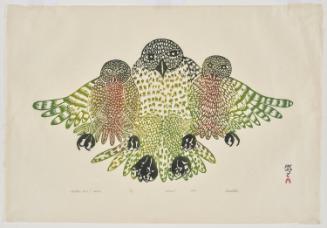 Mother Owl and Babies