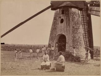 Cane Workers, Biggs Estate, Christ Church