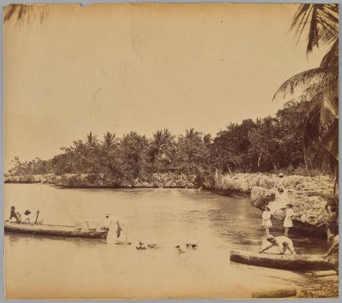 Fisher Boys, Runaway Bay, Jamaica