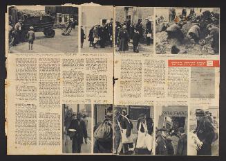 Diary of a youth in the ghetto, Lodz 1942