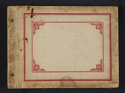 Russian Hospital Train, Volume II