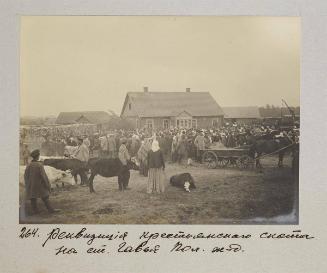 Peasant cattle inspection, Gavya station. Polish railway.