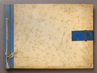 Store & Window Displays