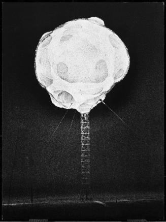 Atomic Bomb Explosion before 1952