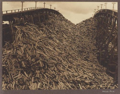 Wood Pile