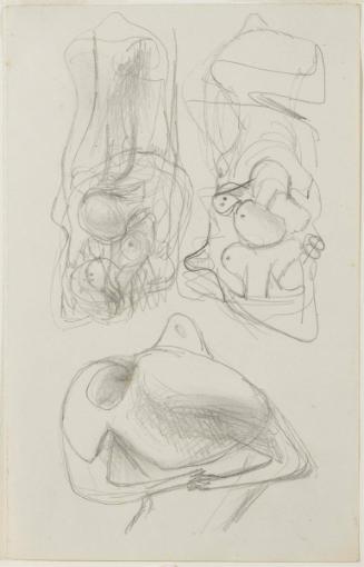 Transformation Drawing: Ideas for Sculpture